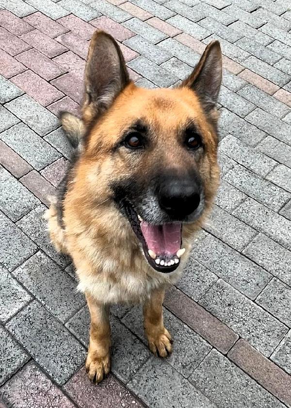 RAMOS PASTORE TEDESCO Foto 5